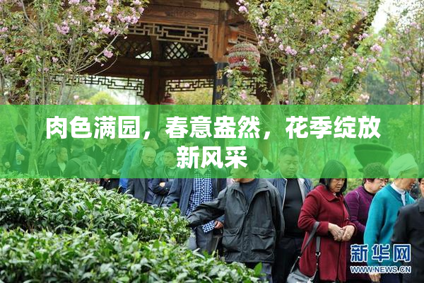 肉色满园，春意盎然，花季绽放新风采