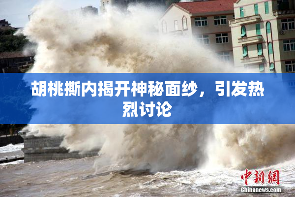 胡桃撕内揭开神秘面纱，引发热烈讨论