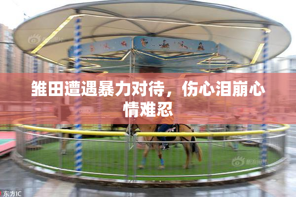 雏田遭遇暴力对待，伤心泪崩心情难忍