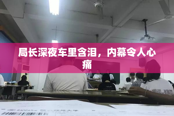 局长深夜车里含泪，内幕令人心痛