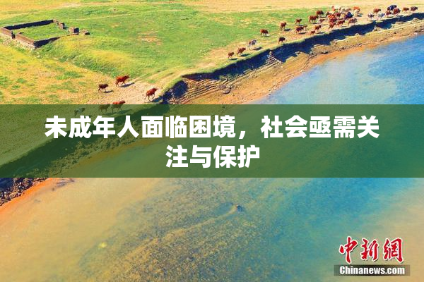 未成年人面临困境，社会亟需关注与保护