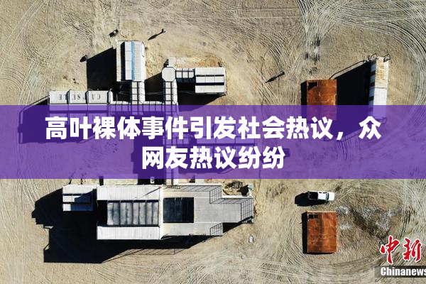 高叶裸体事件引发社会热议，众网友热议纷纷