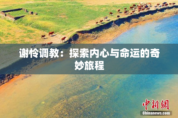 谢怜调教：探索内心与命运的奇妙旅程