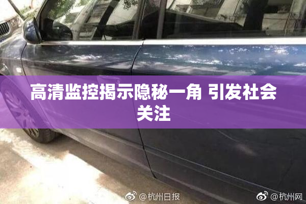 高清监控揭示隐秘一角 引发社会关注