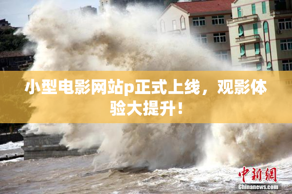 小型电影网站p正式上线，观影体验大提升！