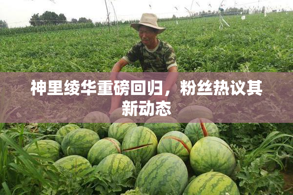 神里绫华重磅回归，粉丝热议其新动态