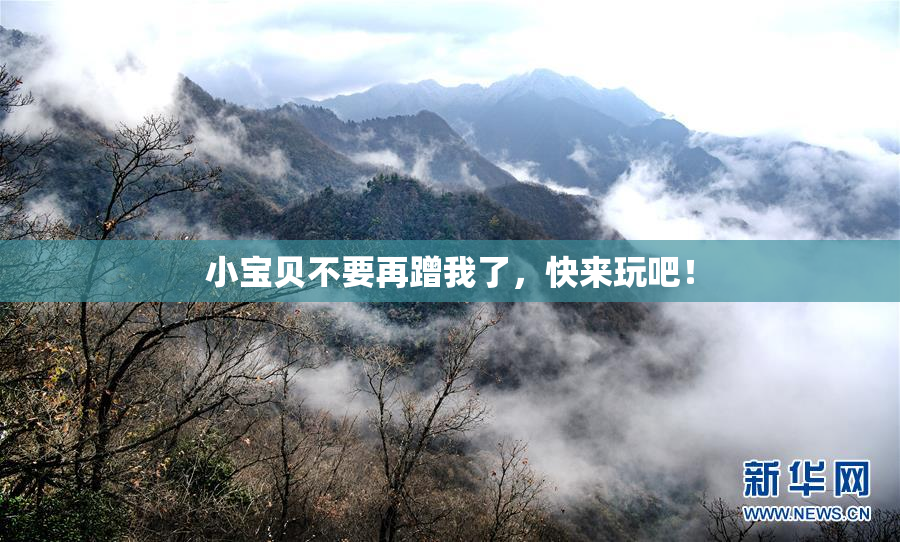 小宝贝不要再蹭我了，快来玩吧！