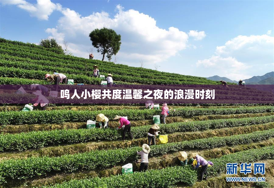 鸣人小樱共度温馨之夜的浪漫时刻