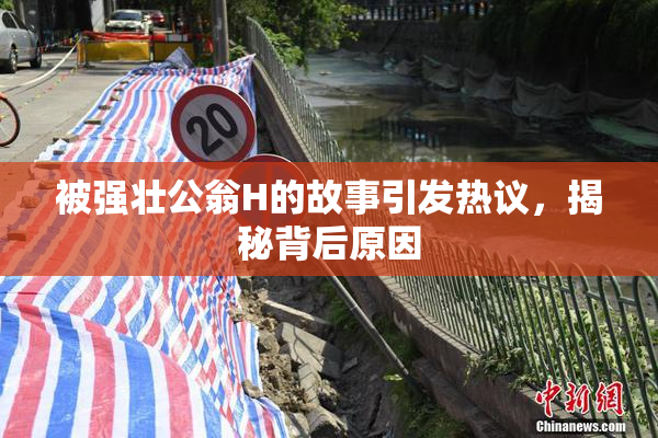 被强壮公翁H的故事引发热议，揭秘背后原因