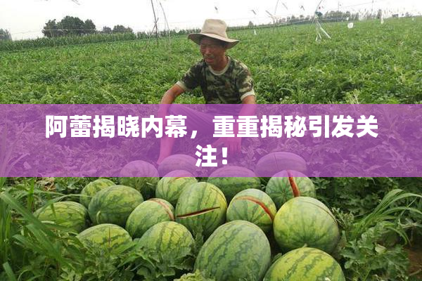 阿蕾揭晓内幕，重重揭秘引发关注！