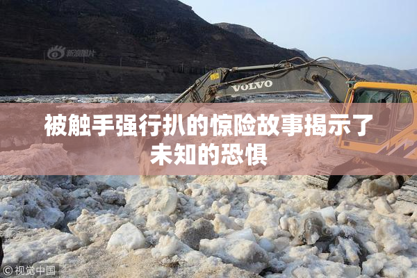 被触手强行扒的惊险故事揭示了未知的恐惧
