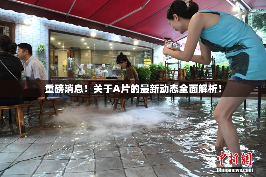 重磅消息！关于A片的最新动态全面解析！