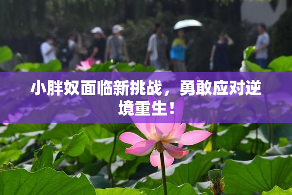 小胖奴面临新挑战，勇敢应对逆境重生！