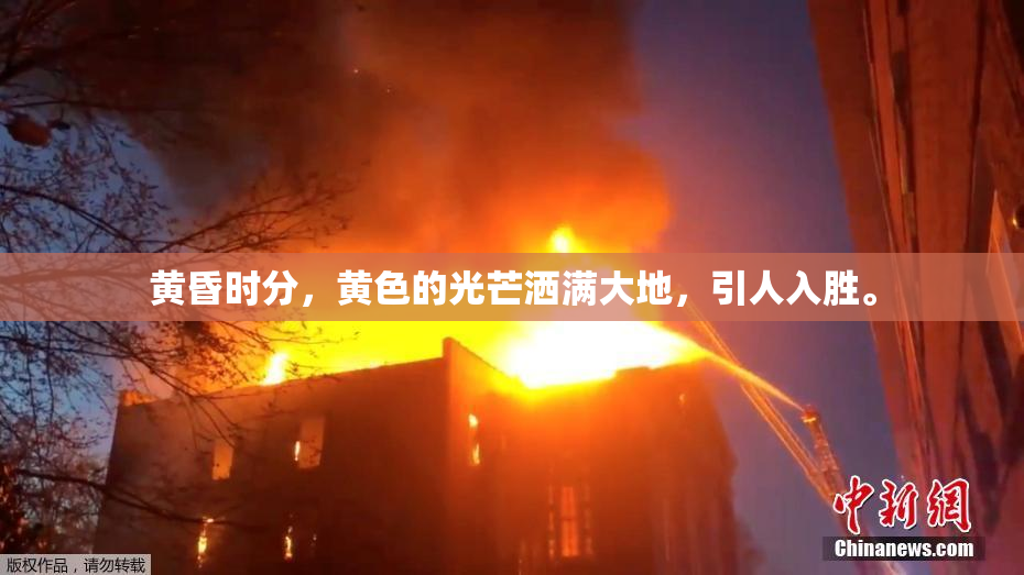 黄昏时分，黄色的光芒洒满大地，引人入胜。
