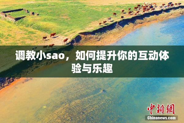 调教小sao，如何提升你的互动体验与乐趣