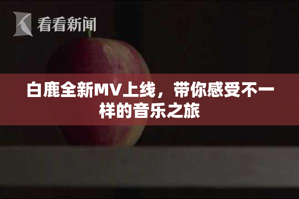 白鹿全新MV上线，带你感受不一样的音乐之旅