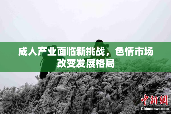 成人产业面临新挑战，色情市场改变发展格局