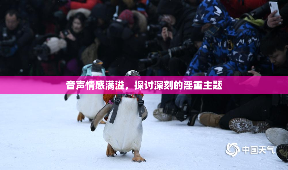 音声情感满溢，探讨深刻的淫重主题