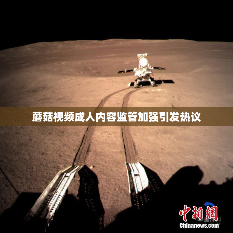 蘑菇视频成人内容监管加强引发热议