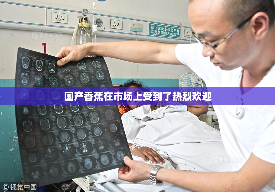 国产香蕉在市场上受到了热烈欢迎