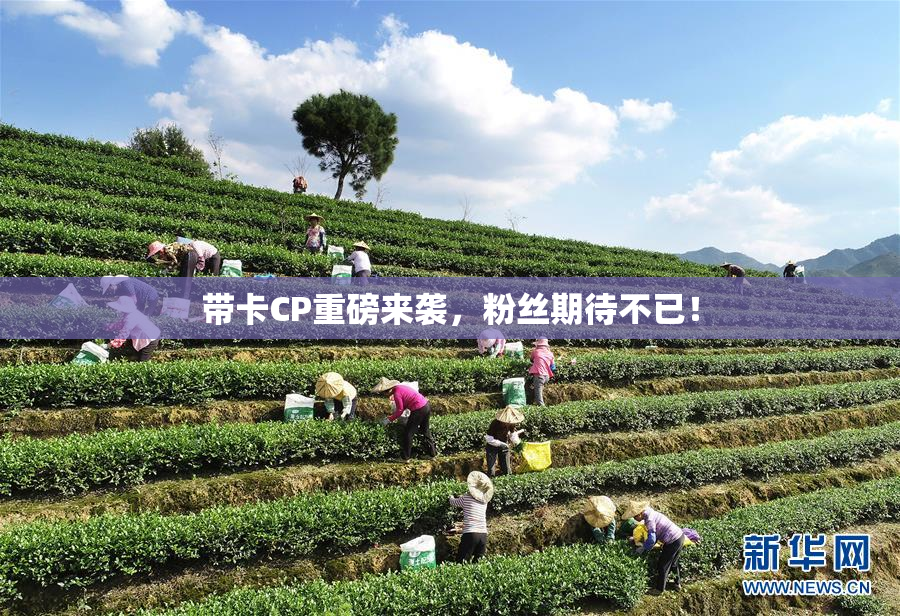 带卡CP重磅来袭，粉丝期待不已！