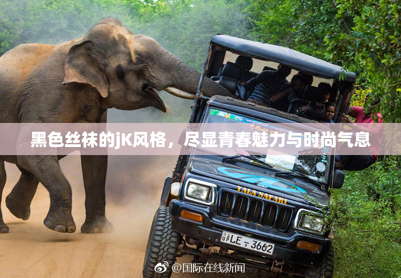 黑色丝袜的jK风格，尽显青春魅力与时尚气息