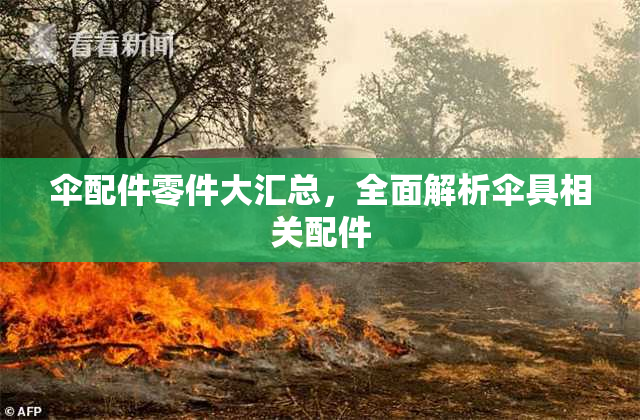 伞配件零件大汇总，全面解析伞具相关配件