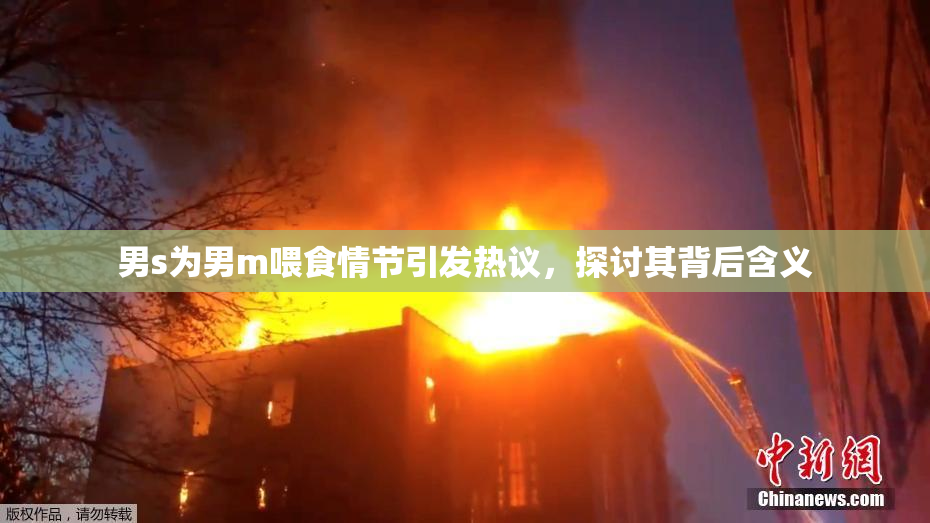 男s为男m喂食情节引发热议，探讨其背后含义