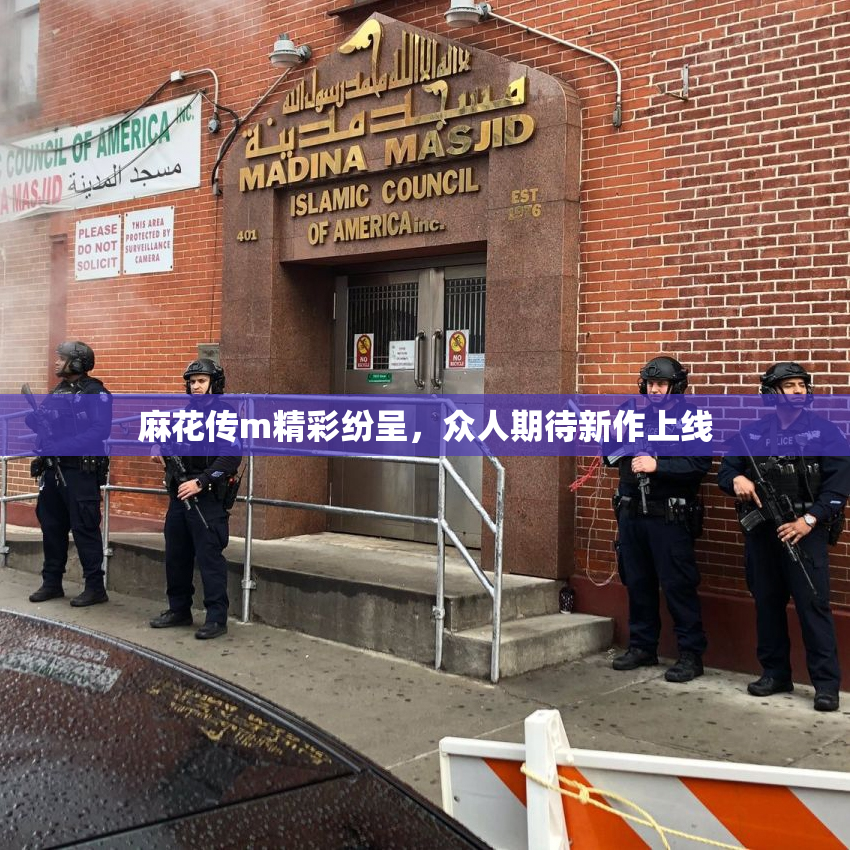 麻花传m精彩纷呈，众人期待新作上线