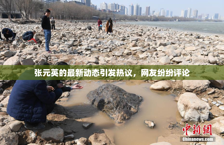 张元英的最新动态引发热议，网友纷纷评论