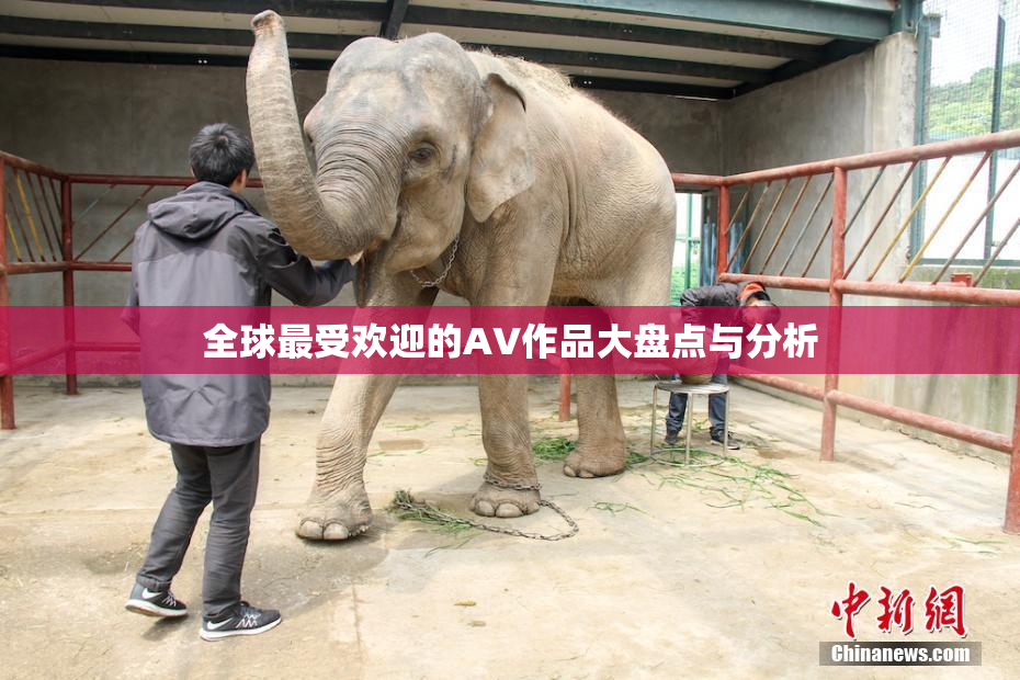 全球最受欢迎的AV作品大盘点与分析