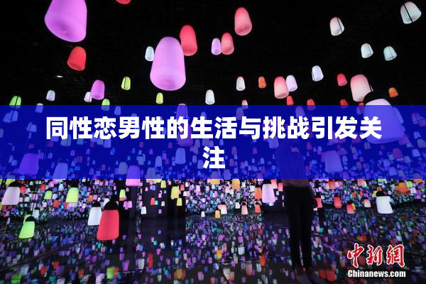同性恋男性的生活与挑战引发关注