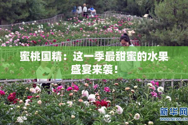 蜜桃国精：这一季最甜蜜的水果盛宴来袭！