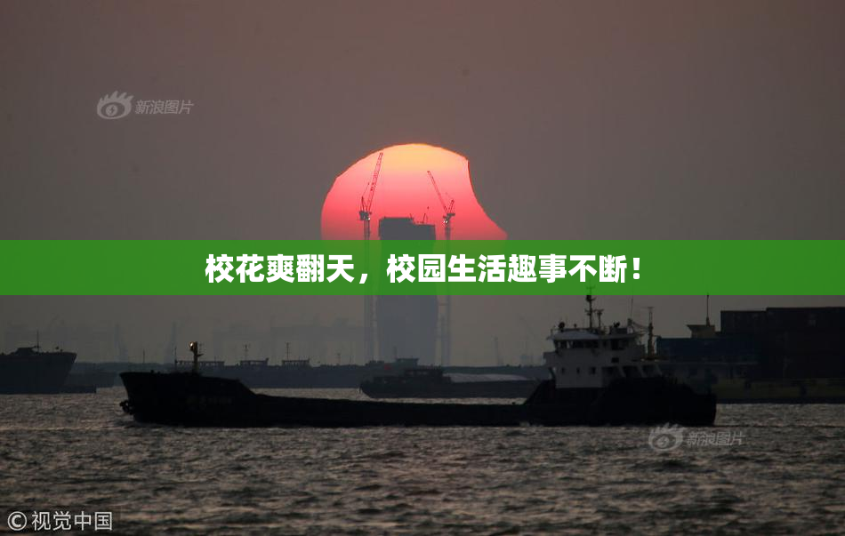 校花爽翻天，校园生活趣事不断！