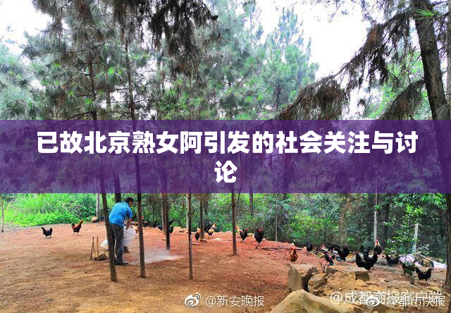 已故北京熟女阿引发的社会关注与讨论