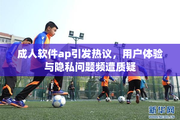 成人软件ap引发热议，用户体验与隐私问题频遭质疑