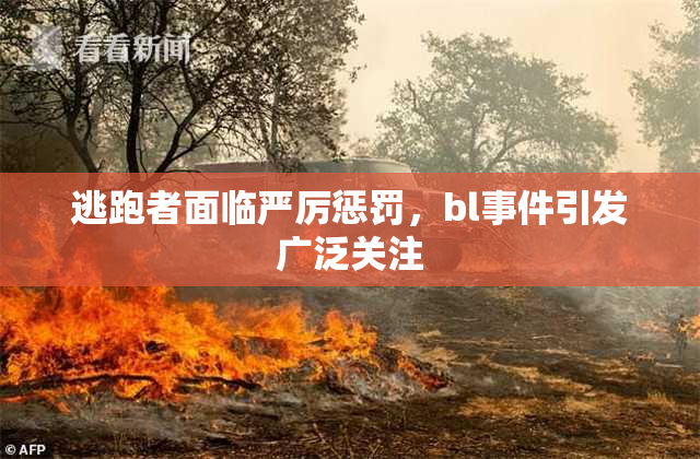 逃跑者面临严厉惩罚，bl事件引发广泛关注