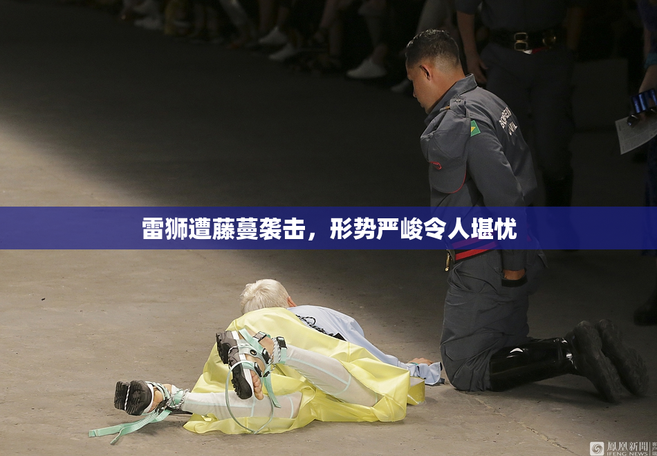 雷狮遭藤蔓袭击，形势严峻令人堪忧