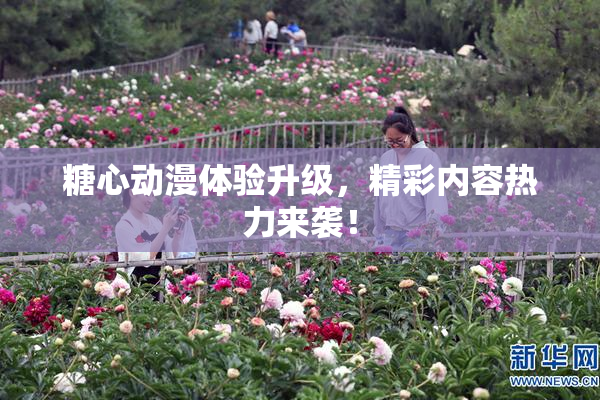 糖心动漫体验升级，精彩内容热力来袭！