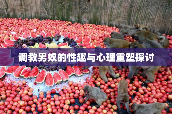 调教男奴的性趣与心理重塑探讨
