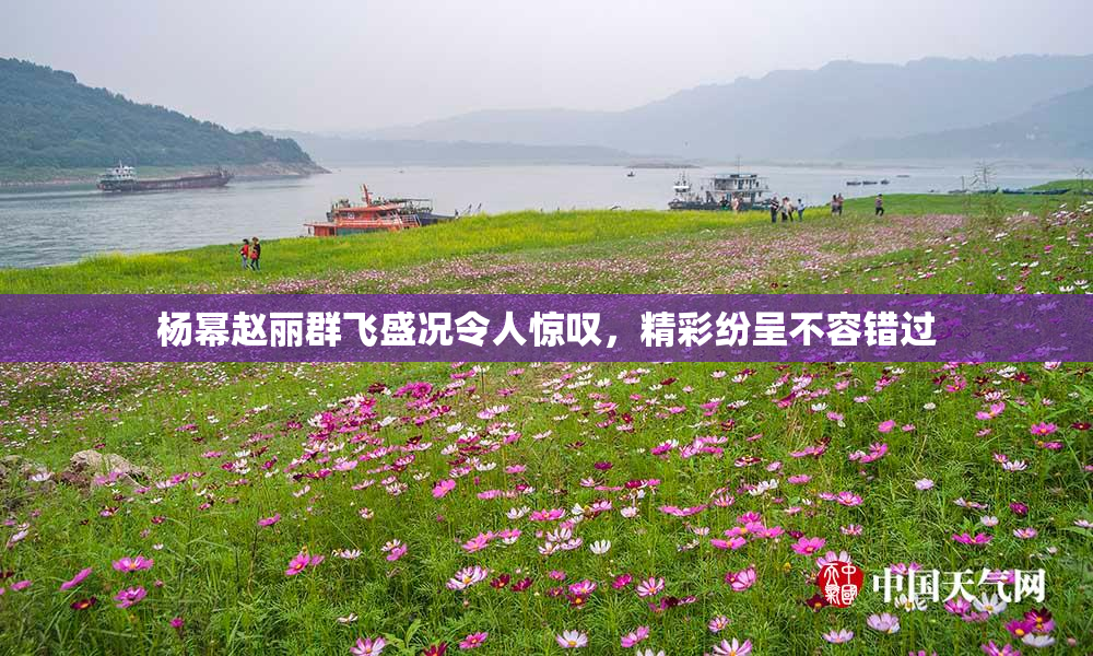 杨幂赵丽群飞盛况令人惊叹，精彩纷呈不容错过