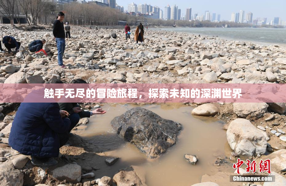 触手无尽的冒险旅程，探索未知的深渊世界