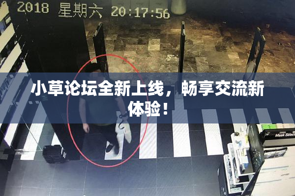 小草论坛全新上线，畅享交流新体验！