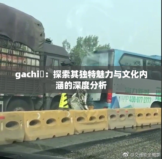 gachi籣：探索其独特魅力与文化内涵的深度分析