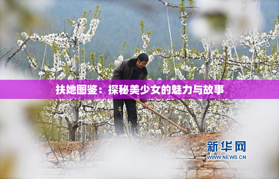 扶她图鉴：探秘美少女的魅力与故事