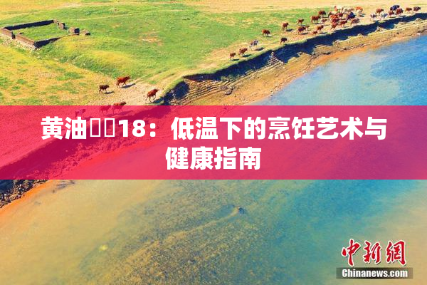 黄油❌‌18：低温下的烹饪艺术与健康指南