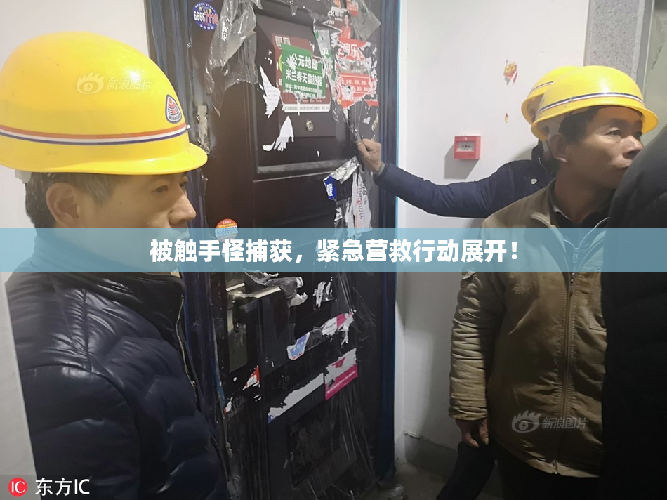 被触手怪捕获，紧急营救行动展开！