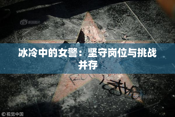 冰冷中的女警：坚守岗位与挑战并存
