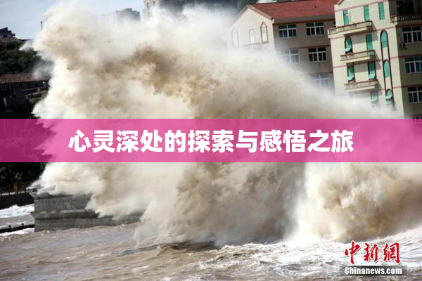 心灵深处的探索与感悟之旅