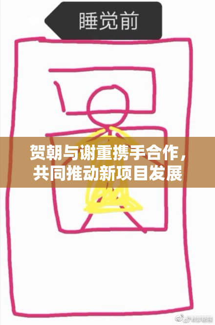 贺朝与谢重携手合作，共同推动新项目发展